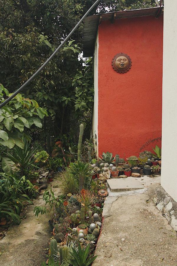 Cabana Campestre En Oaxaca Экстерьер фото