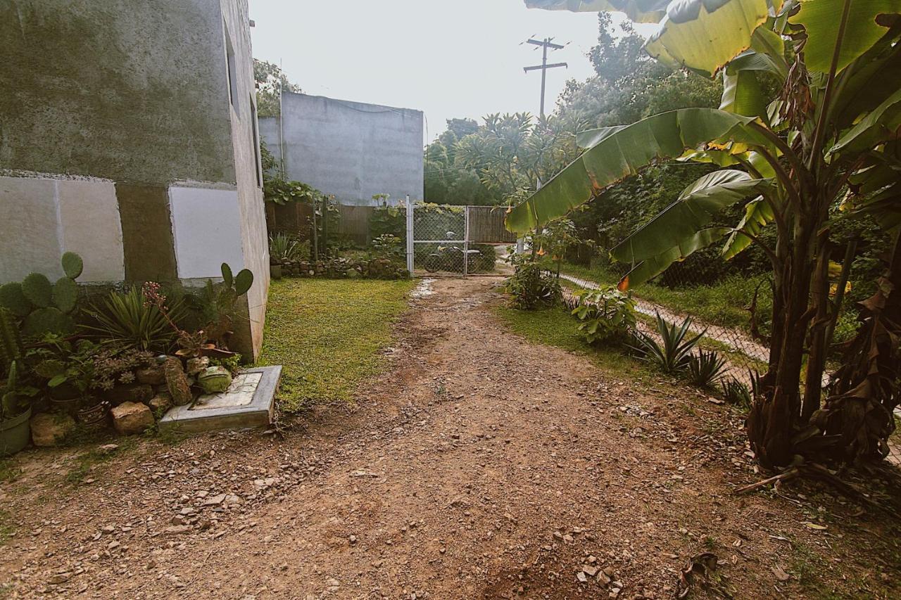 Cabana Campestre En Oaxaca Экстерьер фото